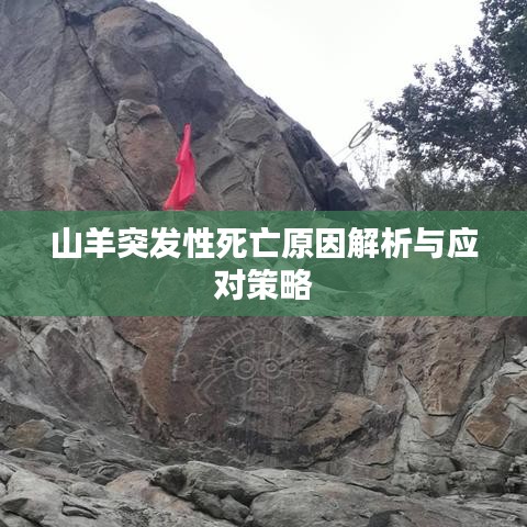 山羊突發性死亡原因解析與應對策略