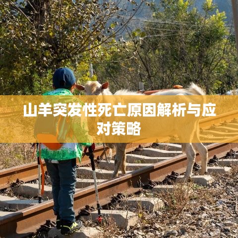 山羊突發性死亡原因解析與應對策略