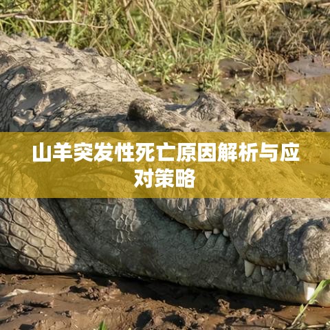 山羊突發性死亡原因解析與應對策略