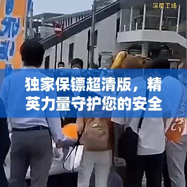 獨家保鏢超清版，精英力量守護您的安全