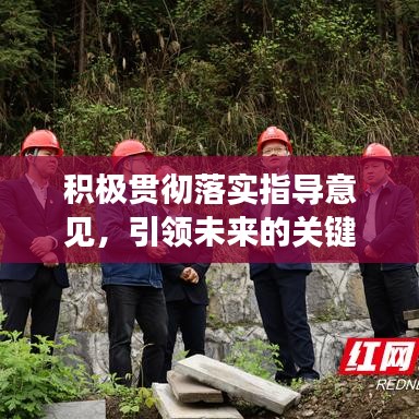 積極貫徹落實(shí)指導(dǎo)意見,引領(lǐng)未來的關(guān)鍵行動(dòng)指南