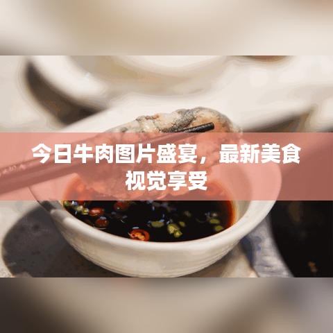 今日牛肉圖片盛宴，最新美食視覺享受