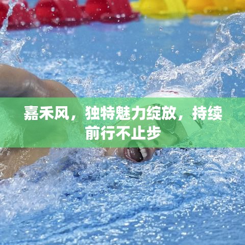 嘉禾風,獨特魅力綻放,持續前行不止步