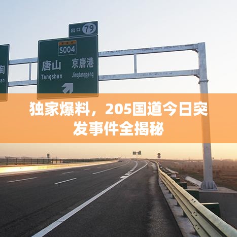 獨家爆料，205國道今日突發事件全揭秘