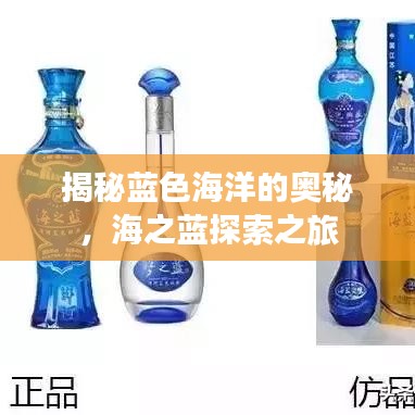 揭秘藍(lán)色海洋的奧秘,海之藍(lán)探索之旅