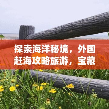 探索海洋秘境,外國趕海攻略旅游,寶藏之旅開啟!