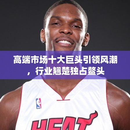 高端市場(chǎng)十大巨頭引領(lǐng)風(fēng)潮,行業(yè)翹楚獨(dú)占鰲頭