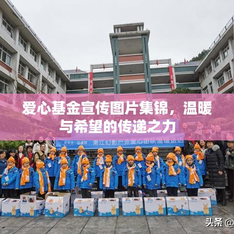 愛心基金宣傳圖片集錦，溫暖與希望的傳遞之力