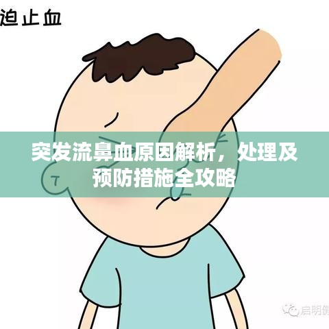 突發流鼻血原因解析,處理及預防措施全攻略