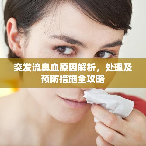 突發流鼻血原因解析,處理及預防措施全攻略
