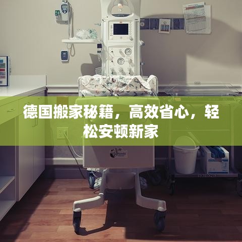 德國搬家秘籍,高效省心,輕松安頓新家