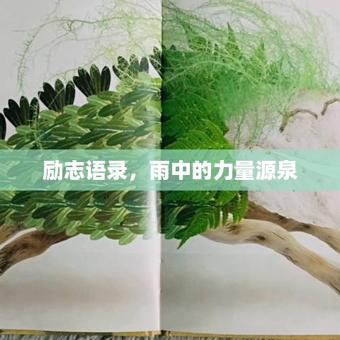 勵志語錄,雨中的力量源泉