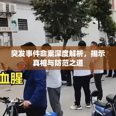 突發(fā)事件命案深度解析，揭示真相與防范之道