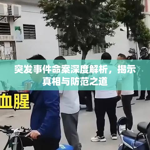 突發(fā)事件命案深度解析,揭示真相與防范之道