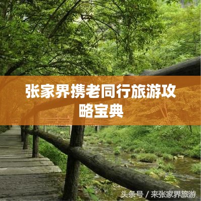 張家界攜老同行旅游攻略寶典