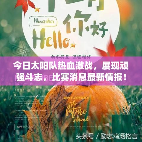 今日太陽隊熱血激戰,展現頑強斗志,比賽消息最新情報!