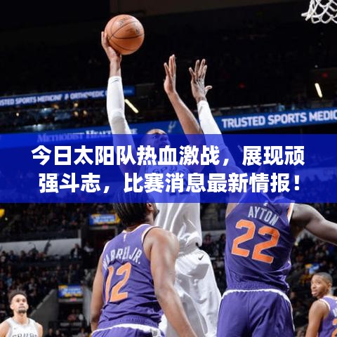 今日太陽隊熱血激戰,展現頑強斗志,比賽消息最新情報!