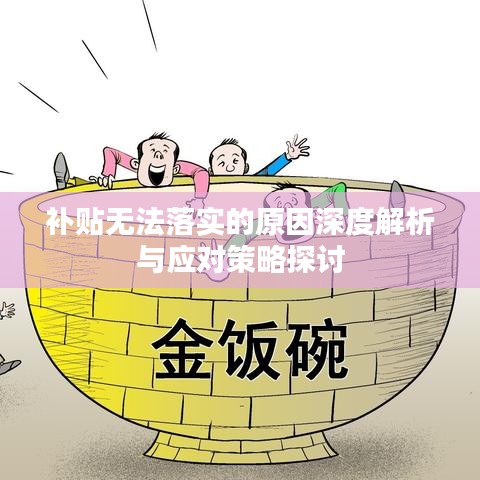補貼無法落實的原因深度解析與應對策略探討