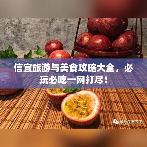 信宜旅游與美食攻略大全,必玩必吃一網打盡!