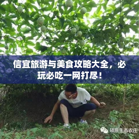 信宜旅游與美食攻略大全,必玩必吃一網(wǎng)打盡!