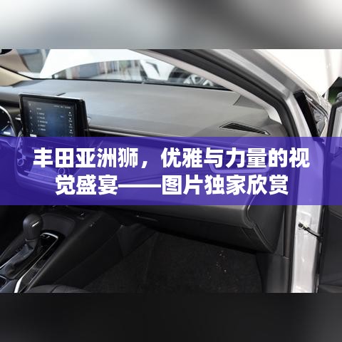 豐田亞洲獅,優(yōu)雅與力量的視覺盛宴——圖片獨家欣賞