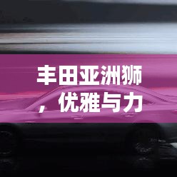 豐田亞洲獅,優(yōu)雅與力量的視覺盛宴——圖片獨家欣賞