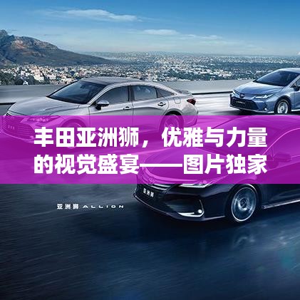 豐田亞洲獅,優(yōu)雅與力量的視覺盛宴——圖片獨家欣賞