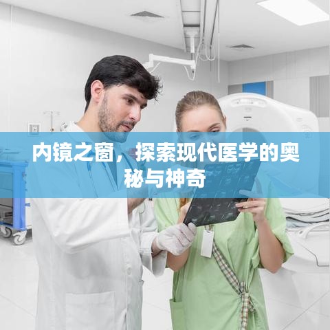 內鏡之窗,探索現(xiàn)代醫(yī)學的奧秘與神奇