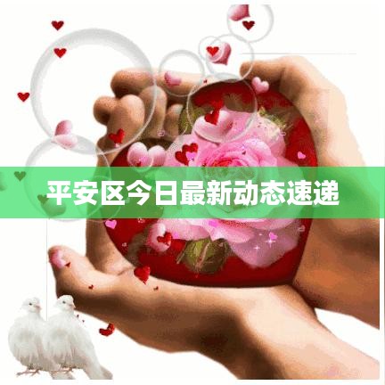 平安區(qū)今日最新動(dòng)態(tài)速遞