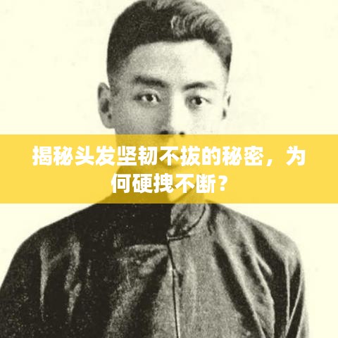 揭秘頭發(fā)堅韌不拔的秘密,為何硬拽不斷?