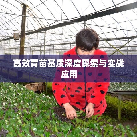 高效育苗基質(zhì)深度探索與實戰(zhàn)應(yīng)用