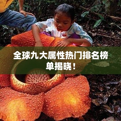 全球九大屬性熱門排名榜單揭曉!