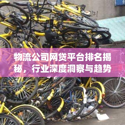 物流公司網(wǎng)貸平臺排名揭秘，行業(yè)深度洞察與趨勢展望