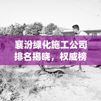 襄汾綠化施工公司排名揭曉,權威榜單,引領行業新潮流!