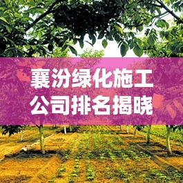 襄汾綠化施工公司排名揭曉,權威榜單,引領行業新潮流!