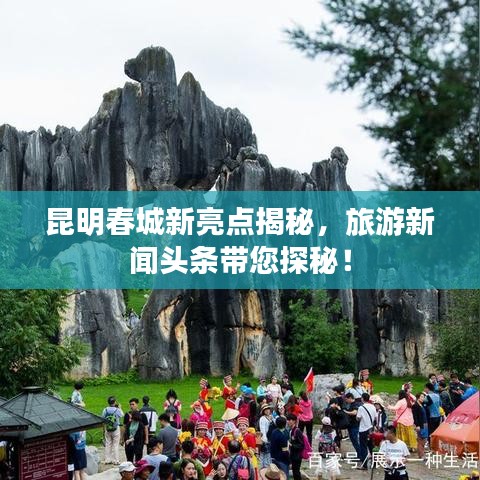 囫圇吞棗 第3頁