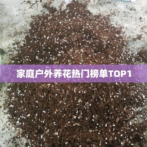 家庭戶外養花熱門榜單TOP10