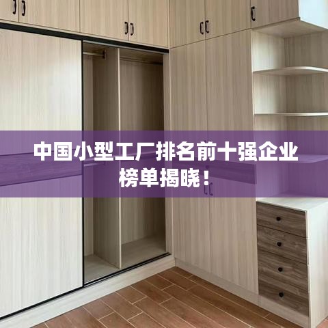 中國小型工廠排名前十強企業榜單揭曉!