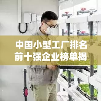 中國小型工廠排名前十強企業榜單揭曉!