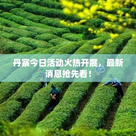 丹寨今日活動(dòng)火熱開展,最新消息搶先看!