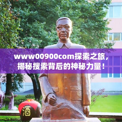 www00900com探索之旅，揭秘搜索背后的神秘力量！