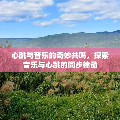 心跳與音樂的奇妙共鳴,探索音樂與心跳的同步律動