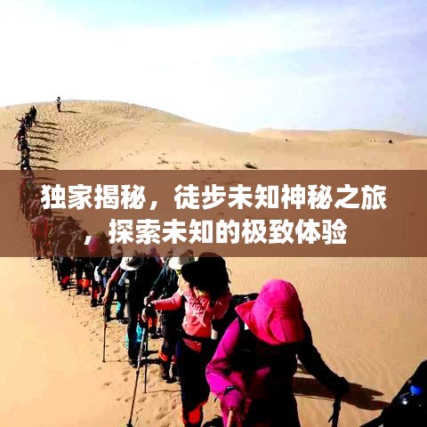 獨家揭秘,徒步未知神秘之旅,探索未知的極致體驗