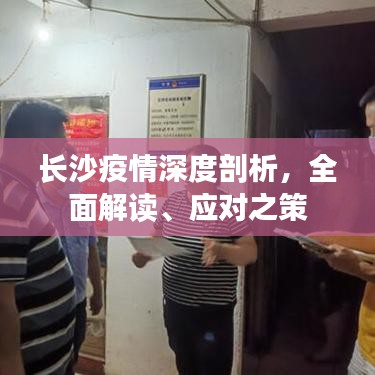長沙疫情深度剖析,全面解讀、應(yīng)對之策