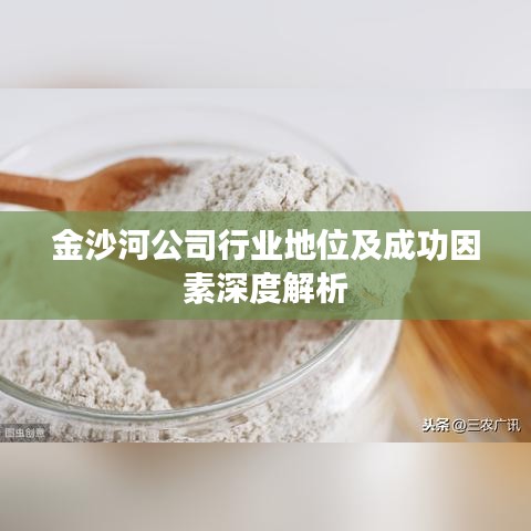 金沙河公司行業(yè)地位及成功因素深度解析