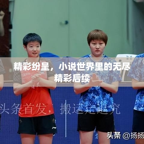 精彩紛呈,小說世界里的無盡精彩后續