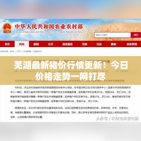 蕪湖最新豬價行情更新!今日價格走勢一網打盡