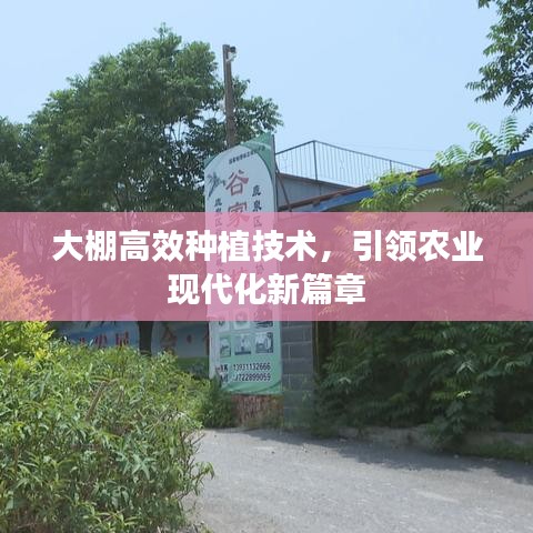 大棚高效種植技術,引領農業現代化新篇章
