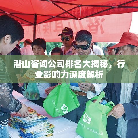 潛山咨詢公司排名大揭秘,行業影響力深度解析