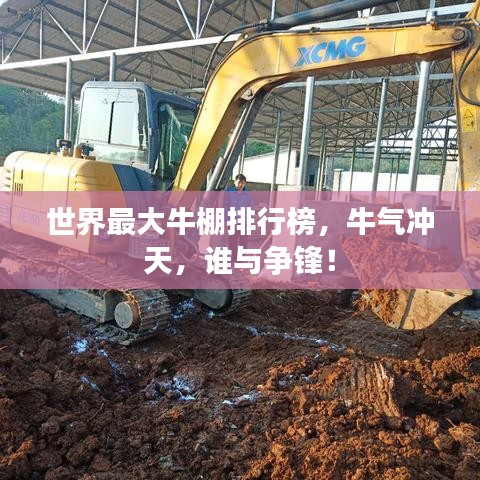 世界最大牛棚排行榜,牛氣沖天,誰與爭鋒!